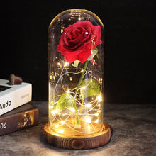 Lade das Bild in den Galerie-Viewer, Die ewige Rose
