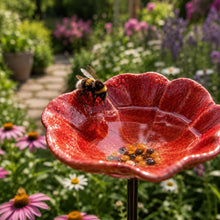 Carica l'immagine nel visualizzatore di Gallery, Fontanelle in ceramica per bombi

